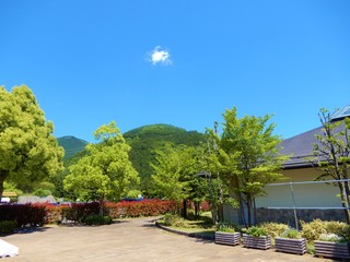 県立秦野戸川公園
秦野
公園
戸川
