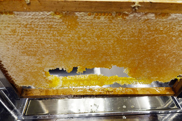 honeycomb in the restaurant, honeycomb for Breakfast, honey bees, honeycomb background