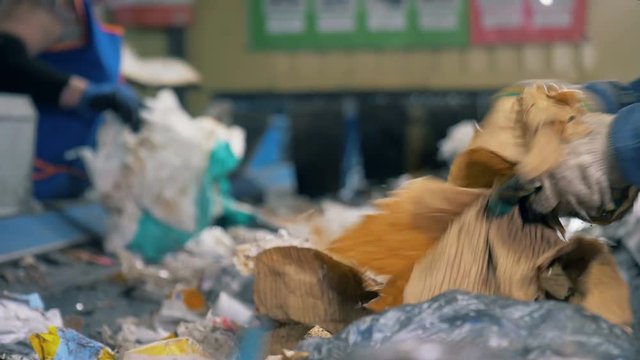 Factory workers pick cardboard and paper materials from a moving line. 4K.
