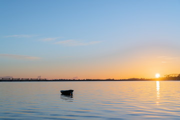 Tauranga Harbour sunrise  glow across water at dawn.