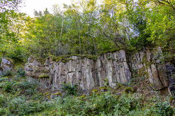 wild tiefenbach trail in the forest of sankt Wendel