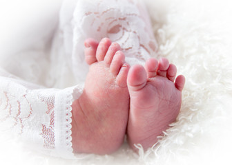 Newborn baby feet 