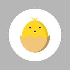 baby chick born icon