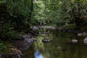 Naklejka na ściany i meble A stream passing through natural resort Zlaca