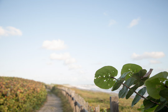 A view of an empty road running parallel to the beach. 