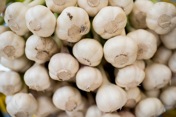 close up of garlic bulbs