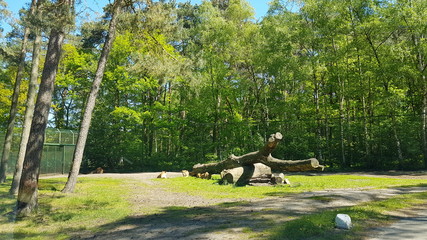 Serengeti Park Germany ( Hodenhagen)