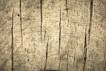 Hardwood texture background. / Close up of old rough wood structure