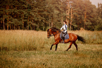 Young woman jockey gallop brown horse strolling across forest.