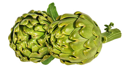 Fresh artichoke isolated on white background with clipping path