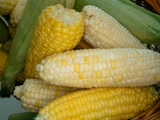 ripe natural corn cobs in a basket