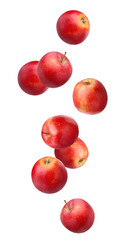 Falling (flying) red apples isolated on white.