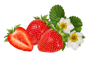 Fresh strawberry with leafs and flowers isolated on white background with clipping path