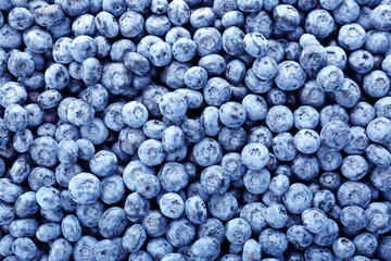 Tasty blueberry as background, close up view