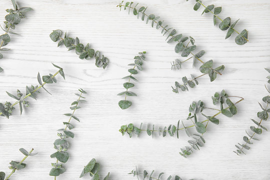 Flat lay composition with fresh eucalyptus leaves on white wooden background
