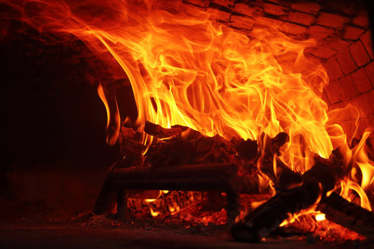 Fire wood burning in the oven