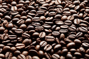 Roasted coffee beans background in the rim light