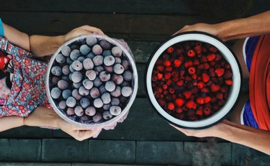 Fruit in a bowl