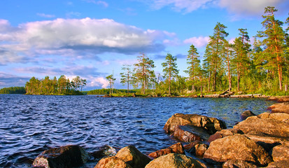 Lanscape with lake and pines