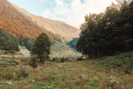Green meadow in front of mountains of Prevalla, Prizren, Kosovo in the evening sunshine