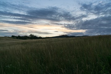 Green grass on meadow. Slovakia