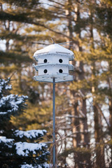 bird house in the forest