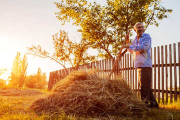 Farmer man gathers hay with pitchfork at sunset in countryside