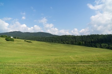 Green grass on meadow. Slovakia