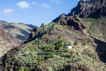 Fototapeta na wymiar Beautiful mountains landscape in Gran Canaria island