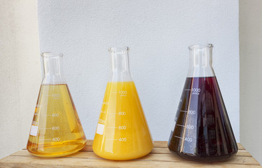 Glass Conical Erlenmeyer Flask with fruit juices
