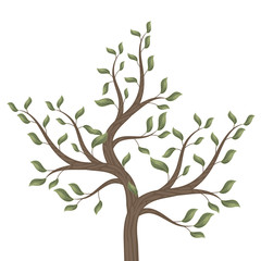 Obraz premium Tree with curved brown branches with green leaves on a white background isolated vector illustration.