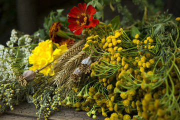 Traditional flowers to Orthodox Christian holiday - Honey Spas on 14 August. Medicinal wormwood, rye, poppy, tansy, marigolds and other plants