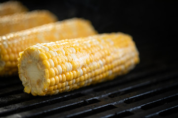 Side close up on corn on the cob roasting on a barbecue