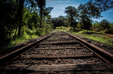 Fototapeta premium Ferrovia