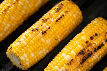 Row of corn on the cob roasting on a barbecue