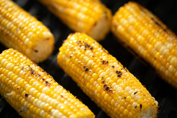 Corn on the cob roasting on a barbecue