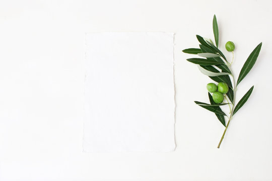 Styled stock photo. Feminine wedding desktop mockup scene with green olive branch and white empty vertical paper card. Foliage composition on white table background. Top view. Flat lay picture.