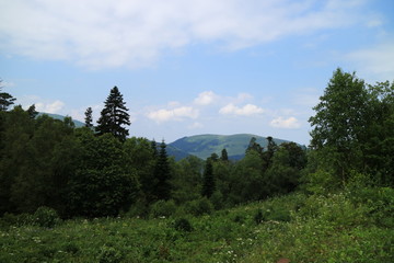 Fototapeta na wymiar Picture of a mountain valley.