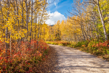 Fall colors at Barrier Lake in Kananaskis in Alberta, Canada