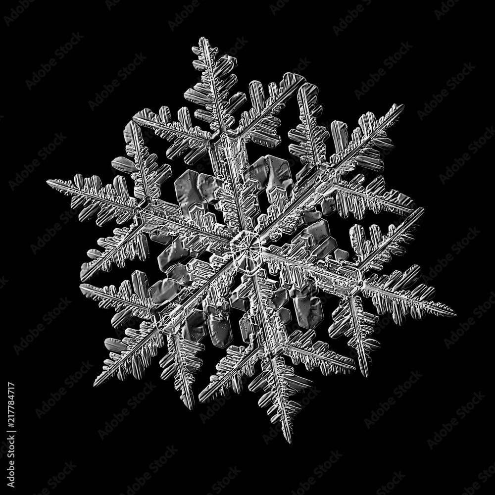 Wall mural Snowflake isolated on black background. Macro photo of real snow crystal: large stellar dendrite with complex, ornate shape, fine hexagonal symmetry, long elegant arms and glossy relief surface.