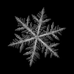 Snowflake isolated on black background. Macro photo of real snow crystal: large stellar dendrite with fine hexagonal symmetry, long elegant arms, complex, ornate shape and glossy relief surface.