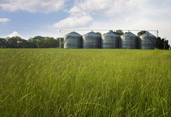 A Green Field Full of Grass and Metal Buildings in the Background