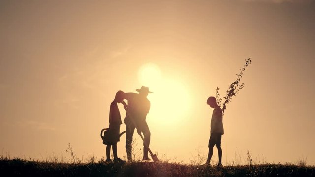 A happy family. Father and two sons plant and water the tree in the park at sunset. The concept of a happy family
