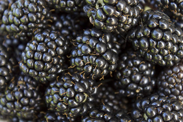 Fresh blackberries background, close up. Lot of ripe juicy wild fruit raw berries lying on the table. Top view.