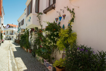 Street of the old small town with flowers 
