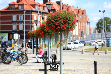 Piękne czerwone kwiaty na latarniach ulicznych w centrum miasta Opola.