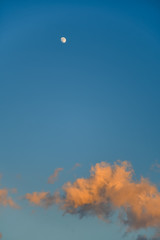 Fototapeta na wymiar Mond im Abendlicht