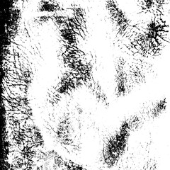 Leather Overlay Texture