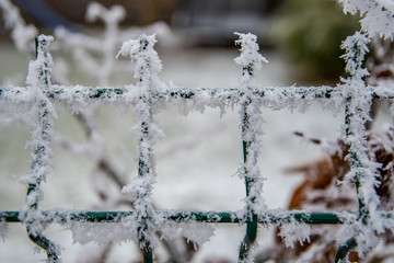 Frostkristalle auf dem Zaun