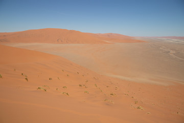 Fototapeta na wymiar Dune 45 dans le désert du Namib à Sossusvlei